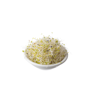 Sprouts - Alfalfa Garlic